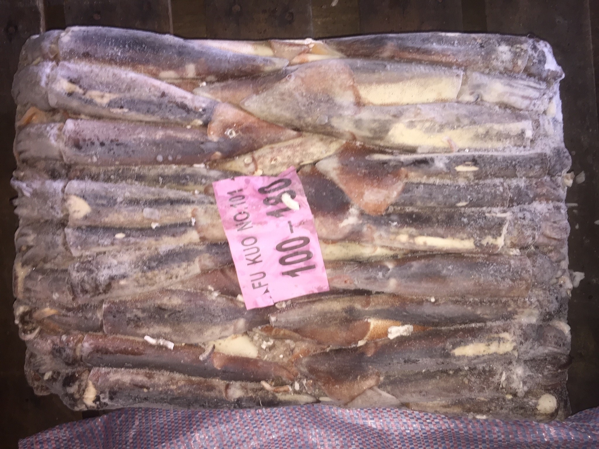 阿根廷魷魚 180下 小型規格加工與水產餌料 - 傑出水產