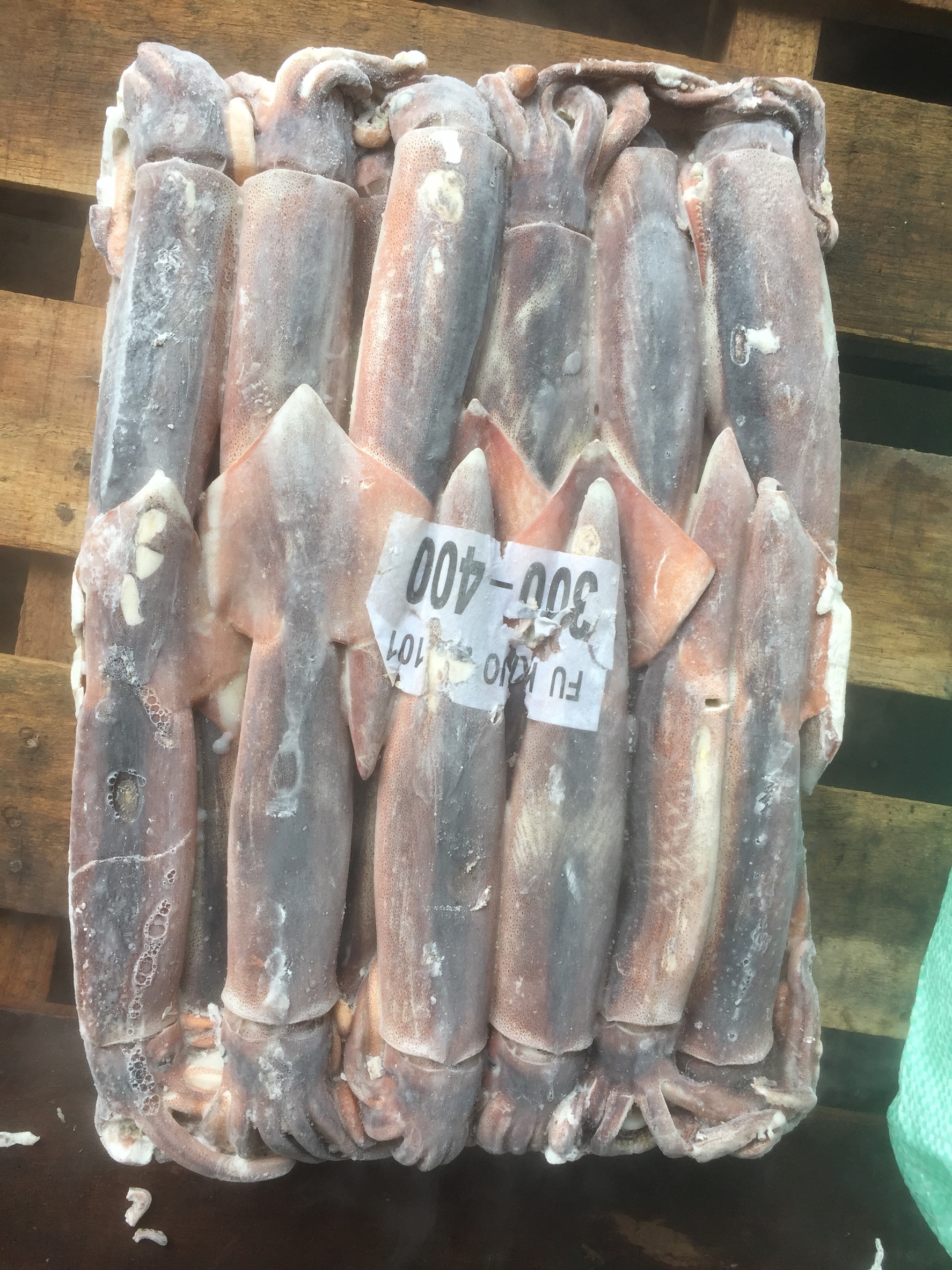 阿根廷魷魚 300/400 中型熱門採購規格 - 傑出水產
